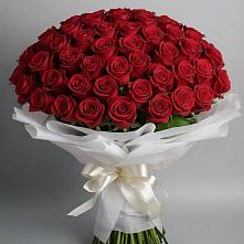 Букет 101 Красная роза Блэк Мэджик в Саки