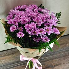 Букет цветов из:  Хризантемы #REPLACE_PRED# Саки
