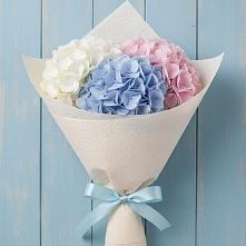 Букет цветов из:  Гортензия в Саки